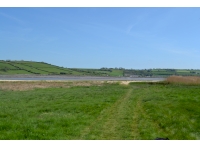 Ferry Farm Wood