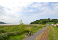 Ferry Farm Wood