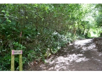 Gelli Cwm - SOLD