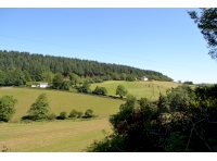 Views out of the northern boundary 
