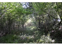 Along the upper track with sheltered canopy