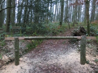 Gelli Hill Wood