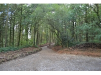 Looking up the access track from the hardstanding just past the ride stop