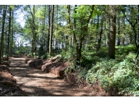 The track that leads along the entire southern boundary