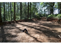 Large turning area on the southern boundary