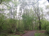The main track that forms the eastern boundary