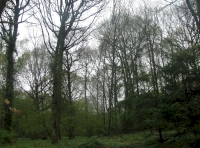 View towards the northern boundary