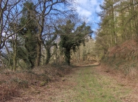 Hen Allt - Old Wood - SOLD photo 8