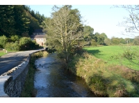 The entrance to the woodland is on the far left of this picture, and the road leading into the small village of Gelli