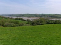 Maes-teg - Fair Meadow