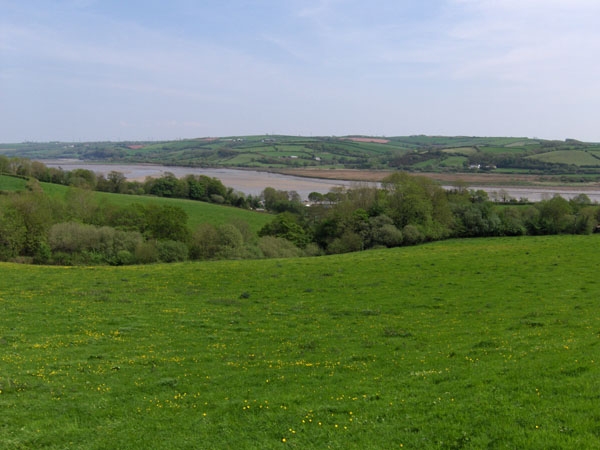 Maes-teg - Fair Meadow