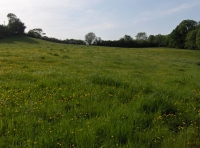 Maes-teg - Fair Meadow photo 2