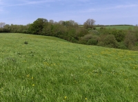 Maes-teg - Fair Meadow photo 5