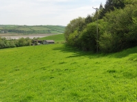 Maes-teg - Fair Meadow photo 6