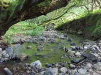 Maes-teg - Fair Meadow photo 7
