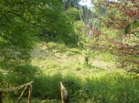 bridge over river to glade