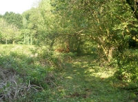 path to glade