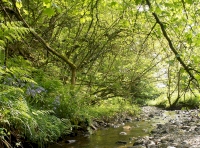 looking down the river