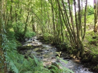 Penycoed - SOLD