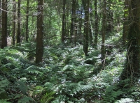 Penycoed - SOLD photo 2