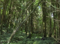Penycoed - SOLD photo 3