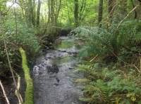 Penycoed - SOLD photo 5