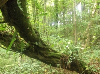 Penycoed - SOLD photo 6