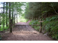 Rhooks Wood - SOLD