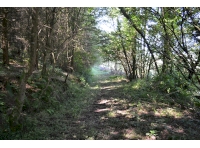 Looking west along the lower track