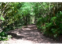 Track leading down to the ride stop entrance