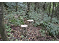 Woodland stools located in the northern corner