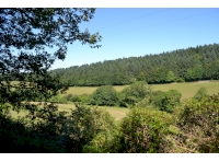 Views across the valley from the lower track