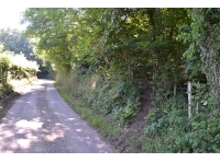 Secluded pedestrian access from the road at the eastern boundary