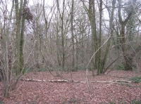 Natural open area