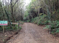 Stoneyford Wood
