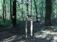 Tal Coed  - Hill Brow Wood - SOLD photo 3