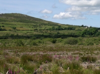 Tan-y-Clawdd