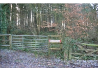 West Lovelodge Wood - SOLD