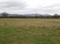 Wheatley Meadow