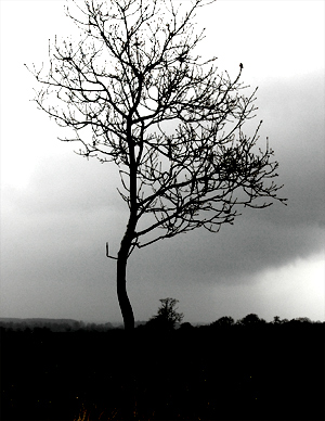 Emerging from the Winter weather
