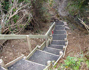 Playing STEEP STEPS..