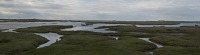 Saltmarsh