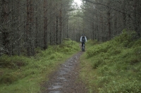 Cycling through forest