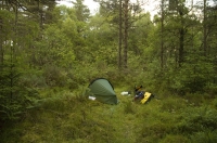 Wild Camping