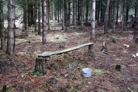 Woodland Bench