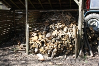 Firewood