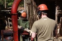 Cutting Coppiced Wood