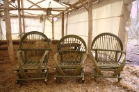 Bentwood Willow Chair Making