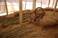 Coppiced Wood and Willow Chair