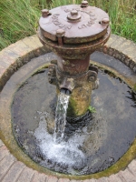 Water from Artesian Well